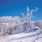 Jeju Island: SouthWest UNESCO Highlights Full-Day Tour - Exploring the Itinerary in Detail