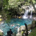 Jeju island: Van tour with a guide who the most loves JEJU - What’s Included and What’s Not