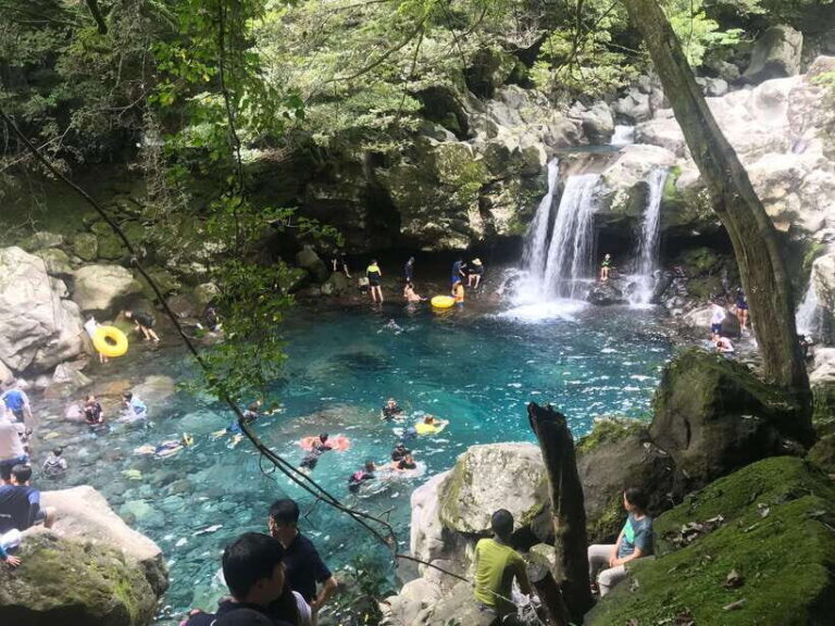 Jeju island: Van tour with a guide who the most loves JEJU - What’s Included and What’s Not