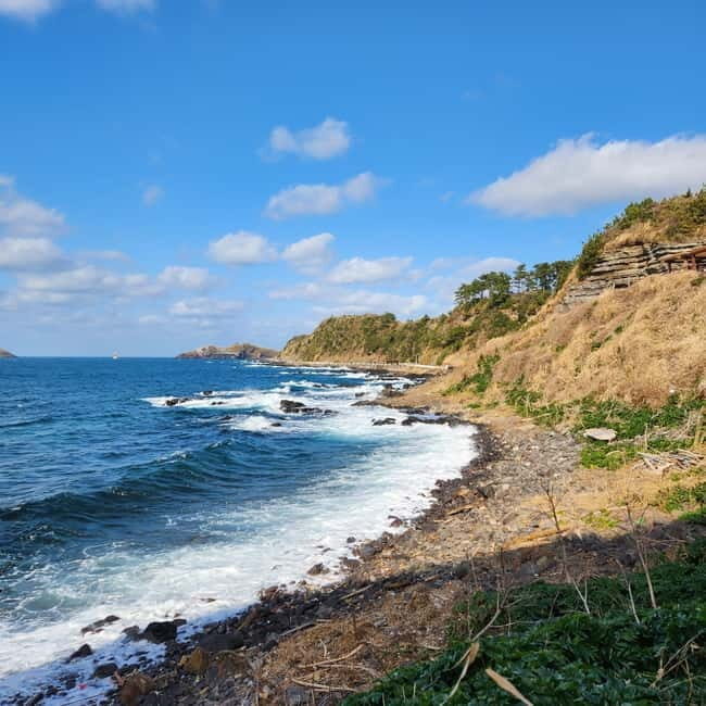 Jeju: Popular Sightseeing Private Car Charter Tour - What Makes This Tour Stand Out?