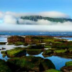 Jeju: Premium Small Group UNESCO Day Tour - East Coast - Tour Itinerary Breakdown