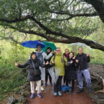 Jeju Private Half-Day Tour for Cruise Customers - Authentic Experiences & Insights from Travelers