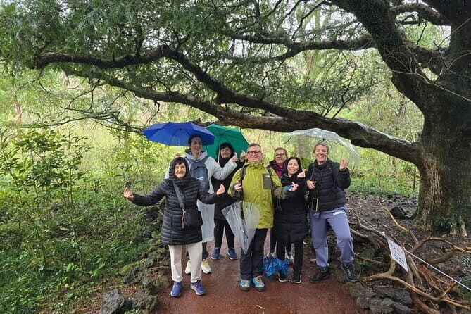 Jeju Private Half-Day Tour for Cruise Customers - Authentic Experiences & Insights from Travelers