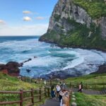 Jeju Private Taxi Tour with a Licenced English Guide-Driver - What You Can Expect from the Tour