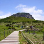 Jeju: UNESCO Day Tour for Cruise Guests - What Makes This Tour Stand Out