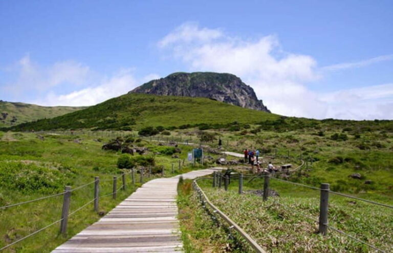 Jeju: UNESCO Day Tour for Cruise Guests - What Makes This Tour Stand Out
