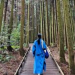 Jeju: UNESCO Sites Tour with Haenyeo Show(Eastern) - What Makes This Tour Stand Out?