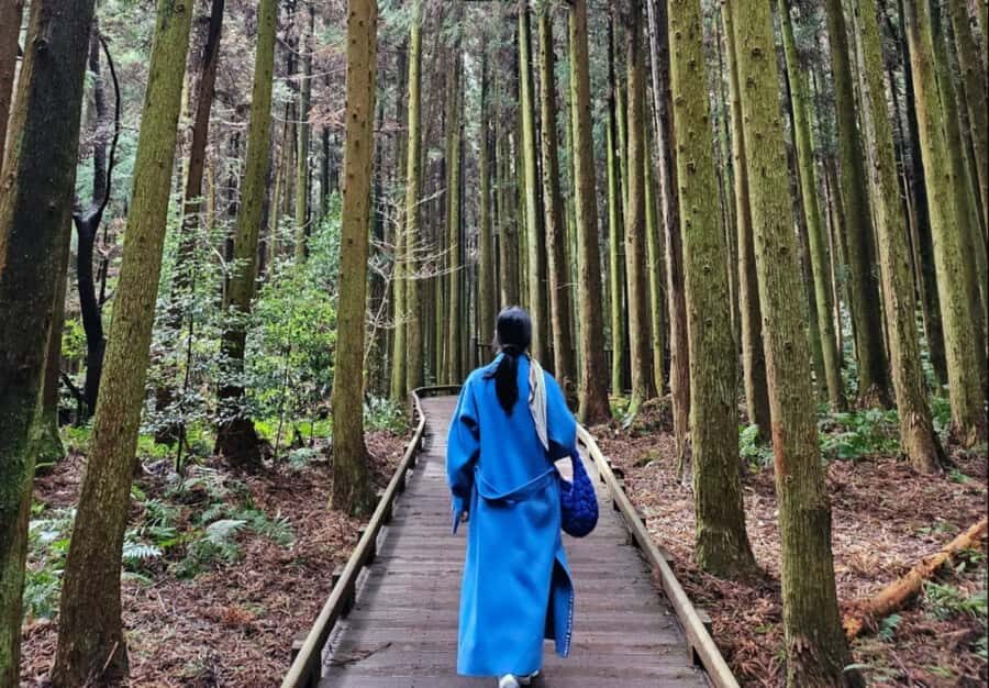 Jeju: UNESCO Sites Tour with Haenyeo Show(Eastern) - What Makes This Tour Stand Out?