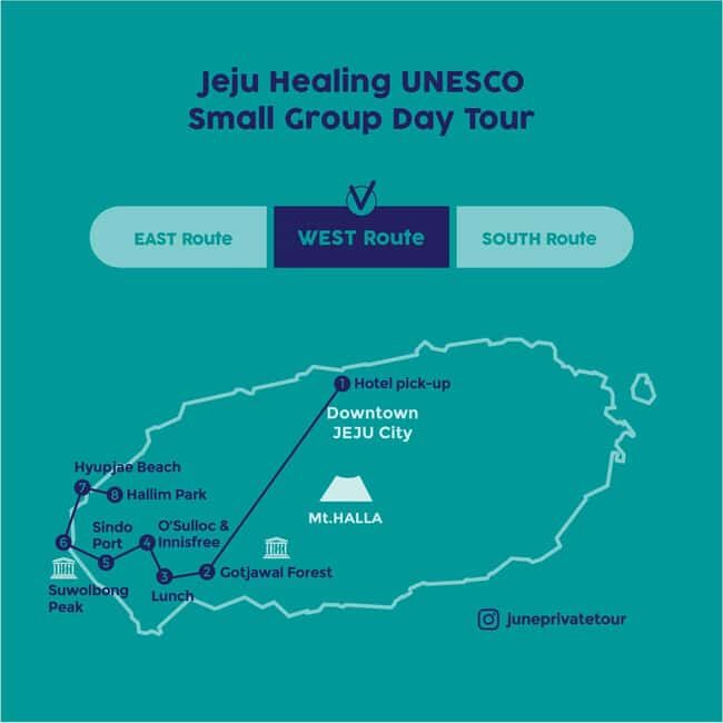 Jeju West: Small Group Healing Tour w/Caves & Dolphins - Exploring the Itinerary: What Makes Each Stop Special