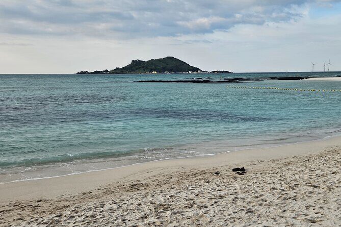 Jeju West Small Group Tour with Lunch and Tangerine Picking - Who This Tour Suits Best
