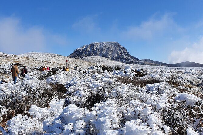 Jeju WEST&SOUTH One Day Tour with MT.halla & UNESCO - What to Expect from the Experience