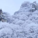 Jeonju Hanok Village and Daedunsan Serenity Nature Tour - Whats Included and Whats Not