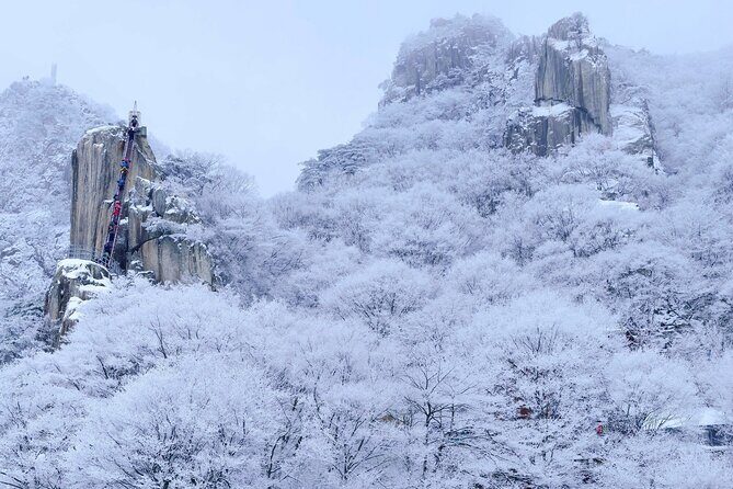 Jeonju Hanok Village and Daedunsan Serenity Nature Tour - Whats Included and Whats Not