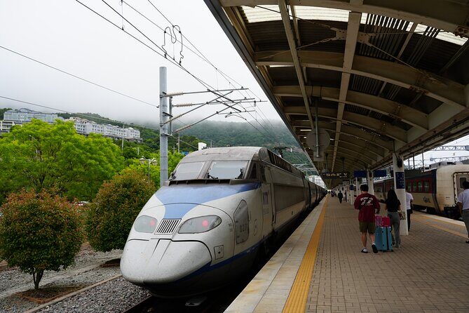 Jeonju & Yeosu: 4-Day Foodie & Artist Journey - Practical Considerations and What You Should Know