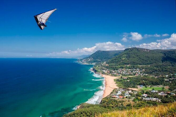 Jervis Bay Full Day Tour Dolphin Cruise and Kiama Blowhole - The Value of This Tour