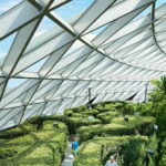 Jewel Changi Airport: Hedge Maze and Canopy Park Ticket - Canopy Park: A Fun-filled Outdoor Space