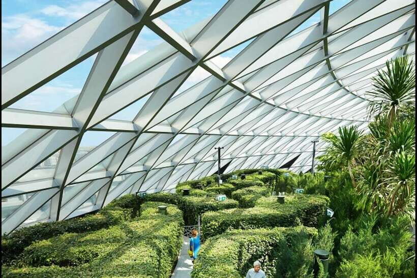 Jewel Changi Airport: Hedge Maze and Canopy Park Ticket - Canopy Park: A Fun-filled Outdoor Space