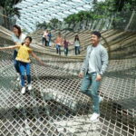 Jewel Changi Airport: Sky Nets Admission Ticket - Who Should Consider This Tour?