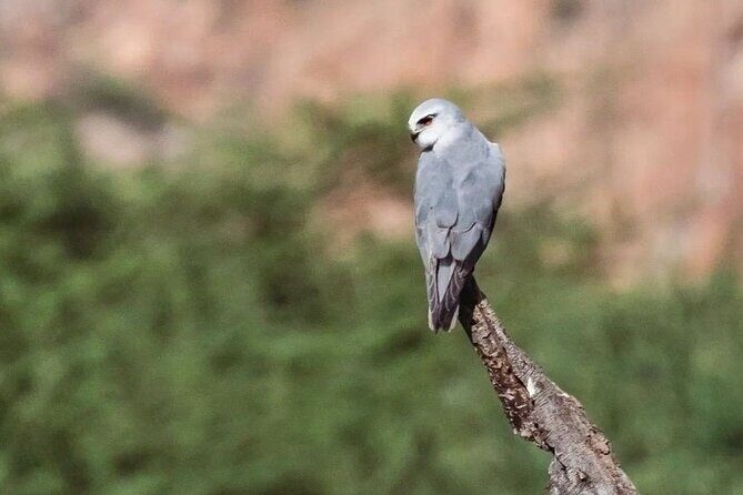 Jhalana Wildlife Private Jeep Safari Tour in Jaipur - The Itinerary Breakdown