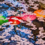 Jinhae Gunhangje Night Tour - Why This Tour Offers Real Value