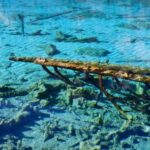 Jiuzhaigou Valley: UNESCO Colorful Lakes & Tibetan Village - Discovering Tibetan Culture and Traditional Tea