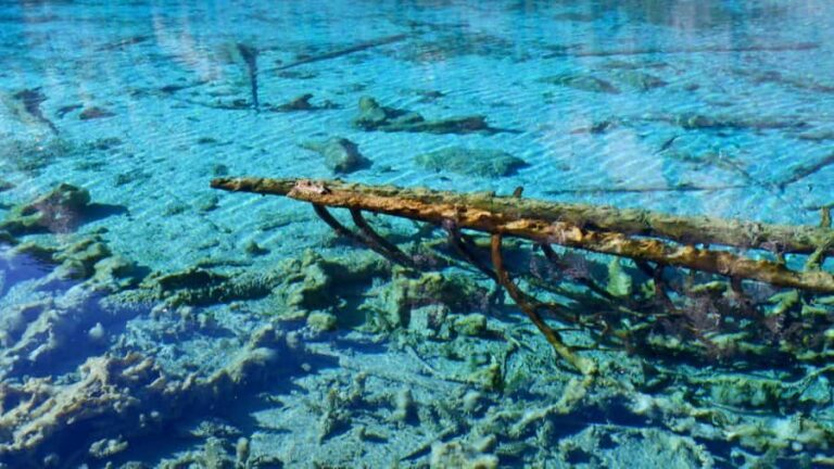 Jiuzhaigou Valley: UNESCO Colorful Lakes & Tibetan Village - Discovering Tibetan Culture and Traditional Tea