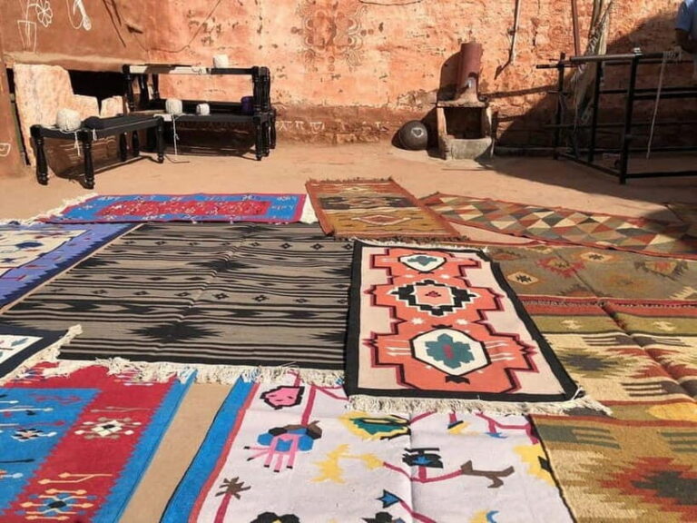 Jodhpur Bishnoi Village Safari Half Day Tour - What’s Included and What’s Not