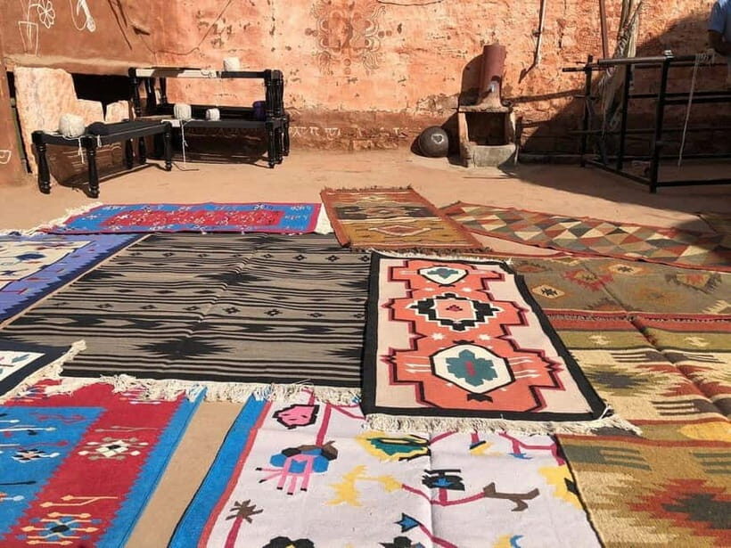 Jodhpur Bishnoi Village Safari Half Day Tour - What’s Included and What’s Not