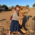 Jodhpur: Desert Camel and Jeep Safari with Traditional Food - Tour Options and Customization