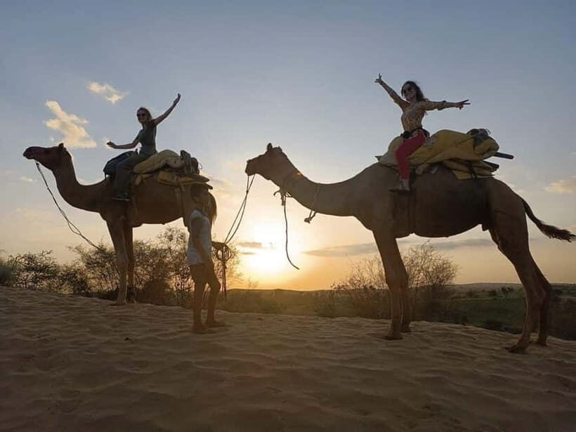 Jodhpur : Jeep Safari, Camel Ride,Buffet Dinner & Folk Dance - What’s Included and What to Consider