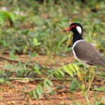 Johor: Desaru Coast Cycling - The Itinerary in Detail: What to Expect