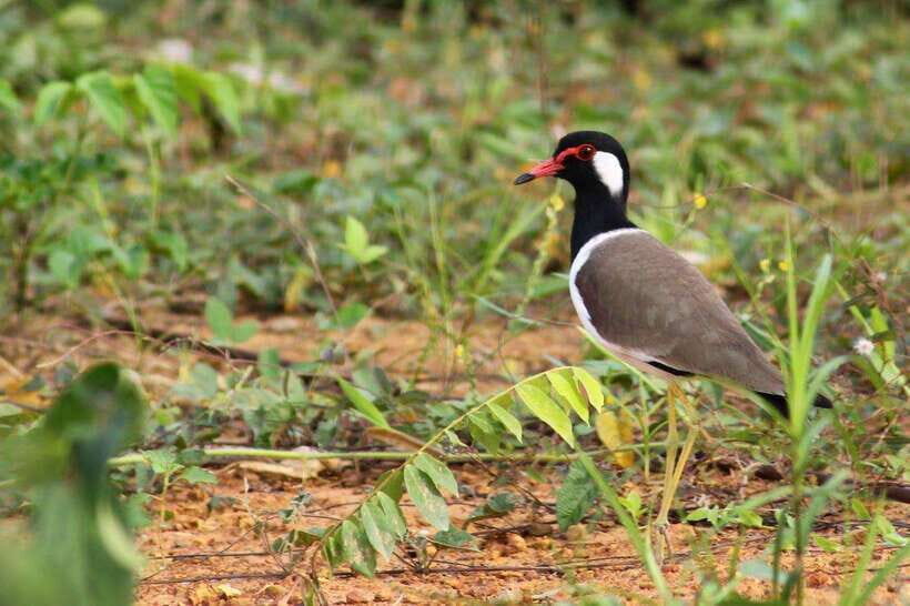 Johor: Desaru Coast Cycling - The Itinerary in Detail: What to Expect