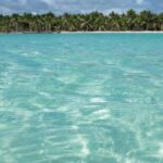 Juan Dolio: Saona Island Day Trip with Lunch & Open Bar - The Speedboat: Caribbean Breeze and Exciting Views