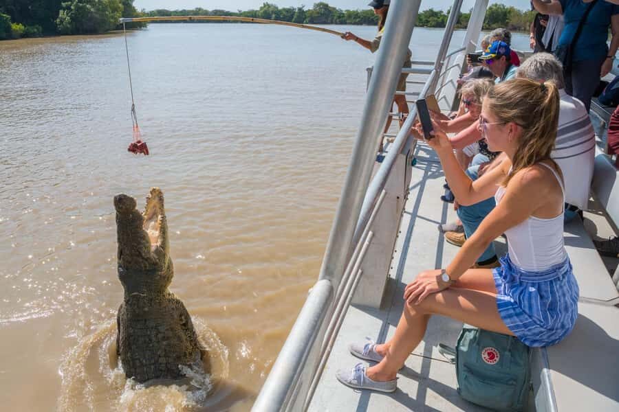 Jumping Crocodile Cruise from Darwin Half-Day Scenic Trip - Practical Details and Tips