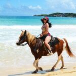 Jungle and Beach Horse Ridding round trip transportatin. - Transportation and Logistics