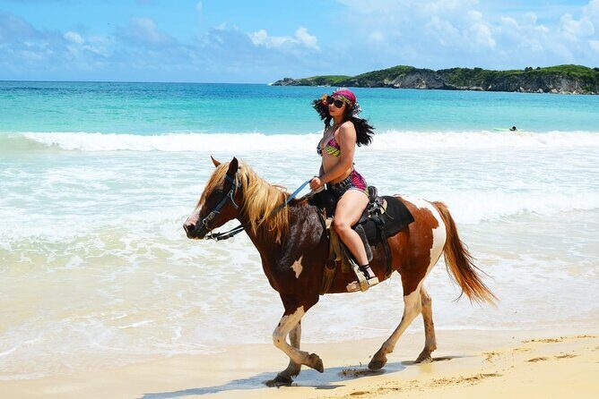 Jungle and Beach Horse Ridding round trip transportatin. - Transportation and Logistics