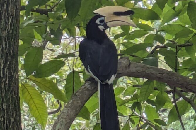 Jungle and Heritage Walk in Singapore - What Reviewers Say