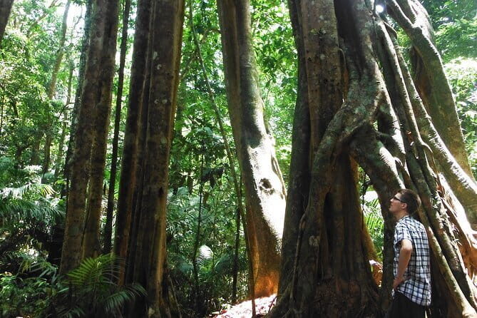 Jungle Experience: 1 Day Trek in Nam Ha NPA - Authentic Experiences That Shine