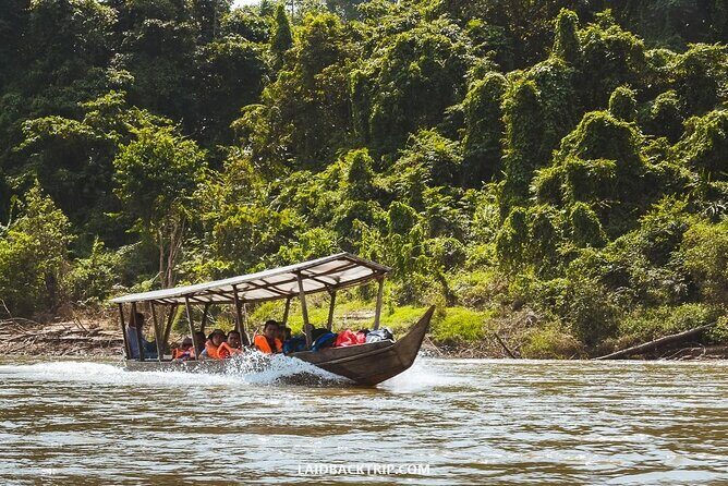 Jungle Odyssey: Unleash Your Adventure in Taman Negara! - Final Thoughts
