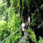 Jungle Trekking Day Tour - What’s Included and What’s Not