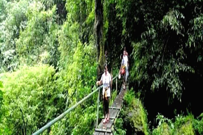 Jungle Trekking Day Tour - What’s Included and What’s Not
