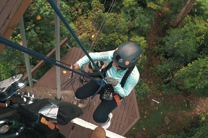 JungleQui Zipline Park at El Yunque National Forest - Authentic Reviewer Insights