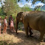 Jurassic World Huay To Waterfall and Jungle Tour from Krabi - Who Is This Tour Best For?