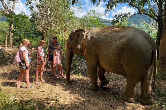 Jurassic World Huay To Waterfall and Jungle Tour from Krabi - What’s Included and What to Expect