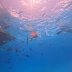 kaafu tour with lunch - What You Can Expect: A Closer Look at the Day