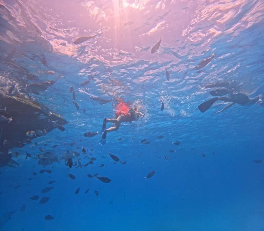 kaafu tour with lunch - What You Can Expect: A Closer Look at the Day