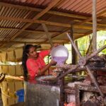 Kadadasi and the Backyard Forest - The Value of This Tour for Different Travelers