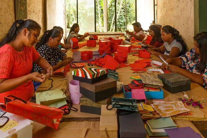 Kadadasi and the Backyard Forest - What to Expect on the Itinerary