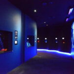 Kagoshima Aquarium Admission Ticket - Practicalities and Tips for Visiting