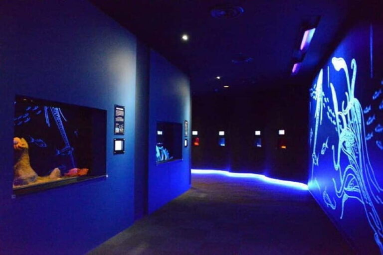 Kagoshima Aquarium Admission Ticket - Practicalities and Tips for Visiting